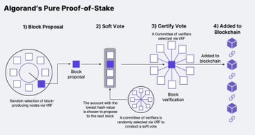 A diagram titled 'Algorand's Pure Proof-of-Stake' illustrating a four-step process: 1) Block Proposal, 2) Soft Vote, 3) Certify Vote, and 4) Added to Blockchain.