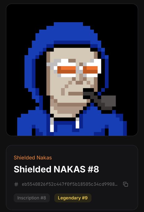 A pixel-art NFT portrait labeled 'Shielded Nakas' and 'Shielded NAKAS #8' shows a character in a blue hood with orange-tinted goggles, tagged with 'Inscription #8' and 'Legendary #9'.