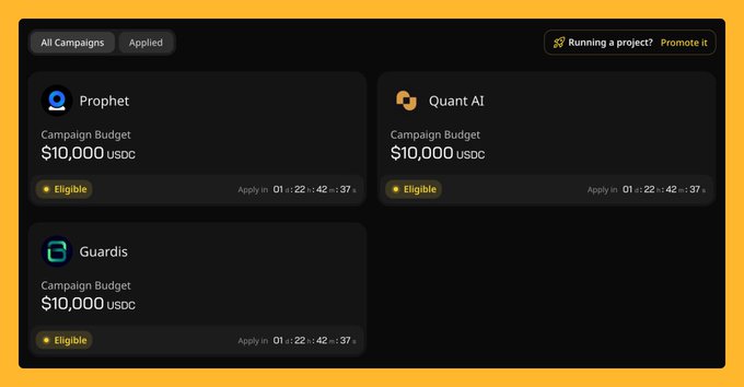 The image shows a screenshot of a campaign management tool, likely used by a marketing team or individual for organizing and tracking campaigns. The screen displays three different campaigns with their respective budgets, which are $10,000, $20,000, and $30,000. There is also an option to apply the campaigns to a budget of $10,000. Additionally, there is a feature that allows users to see how many people have applied for each campaign or if they have been accepted into the project. The post suggests that the user should focus on their content strategy and not sell themselves too cheaply.