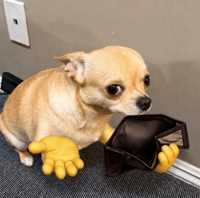 A small tan chihuahua with digitally added yellow cartoon hands holding an empty, upside-down black wallet against a gray wall.
