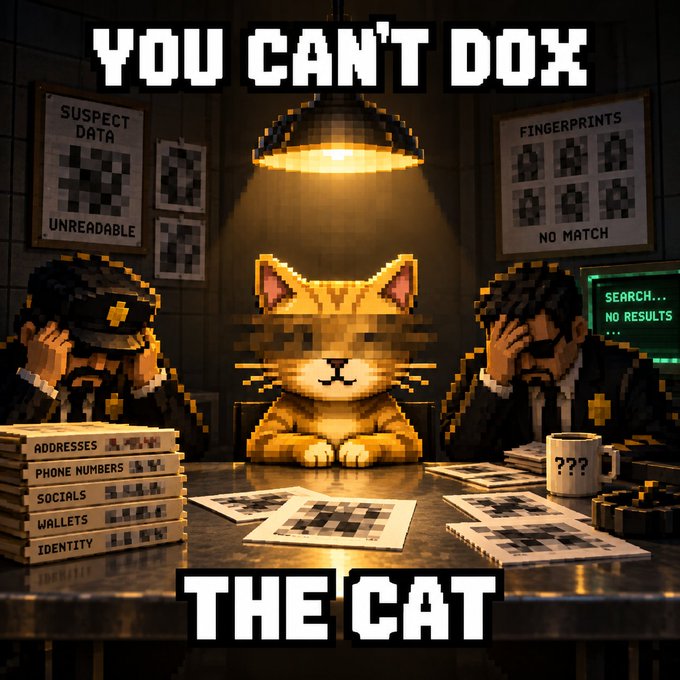 A pixel art meme showing an orange cat under a spotlight in an interrogation room with detectives; text reads 'YOU CAN'T DOX THE CAT' with labels like 'SUSPECT DATA UNREADABLE' and 'FINGERPRINTS NO MATCH'.
