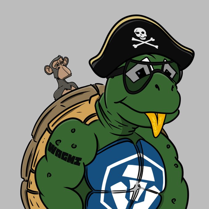 A cartoon illustration of a muscular green turtle wearing a pirate hat with skull and crossbones, sunglasses, and a blue vest, with a small monkey on its shell.