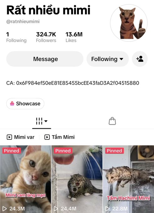 This is a TikTok profile screenshot for "Rất nhiều mimi" (@ratnhieumimi), a Vietnamese cat-focused account with 324.7K followers and 13.6M total likes, featuring pinned videos of Mimi the cat with view counts ranging from 22.8M to 24.4M, along with the displayed Solana contract address (CA: 0x6F984ef50eE81E85455bcEE43faD3A2f04515880) for trading fees to support the owner.