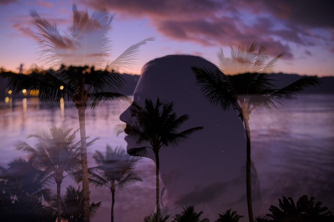 A silhouette of a person's profile is overlaid against a tropical scene featuring palm trees, ocean water, and a sunset sky in purple and pink hues.