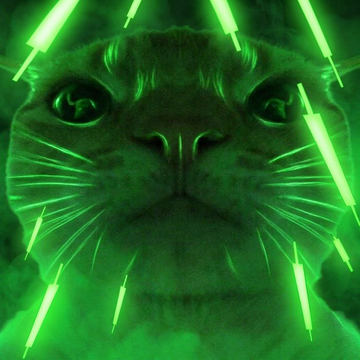 A close-up of a cat's face bathed in glowing green light from surrounding laser-like beams creates an intense, dramatic atmosphere.