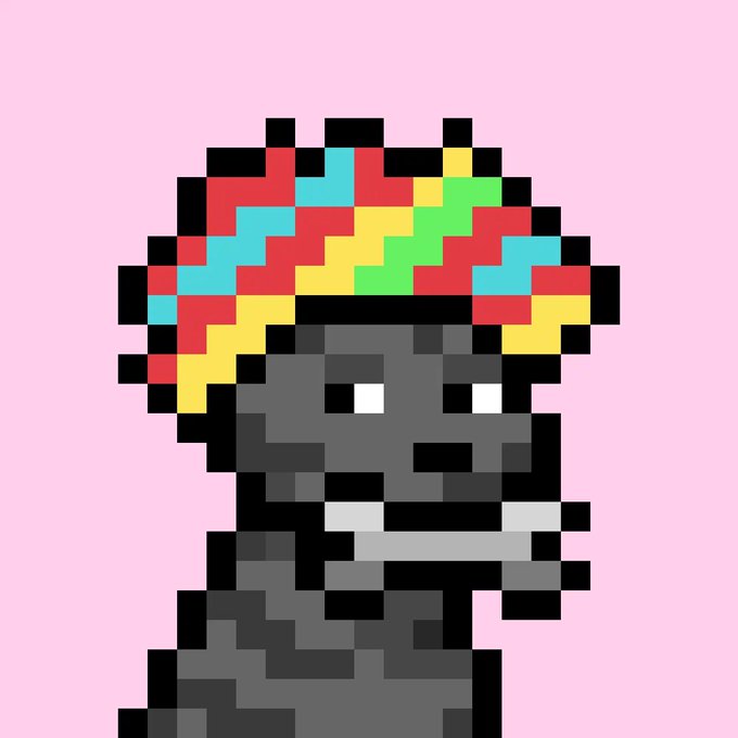 A pixel art character with dark gray/black skin wearing a colorful multicolored cap (red, yellow, green, cyan) on a pink background.