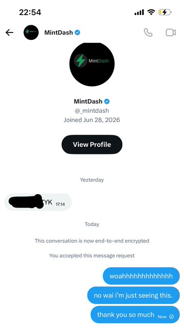 A Twitter/X direct message conversation with verified account MintDash (@_mintdash), showing user messages reading 'woahhhhhhhhhhhh', 'no wai i'm just seeing this,', and 'thank you so much'.