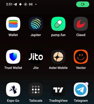 A mobile phone home screen displaying various cryptocurrency and tech app icons, including Wallet, Jupiter, pump.fun, Clawd, Trust Wallet, Jito, Aster Mobile, Vector, Expo Go, Tailscale, TradingView, and Telegram.