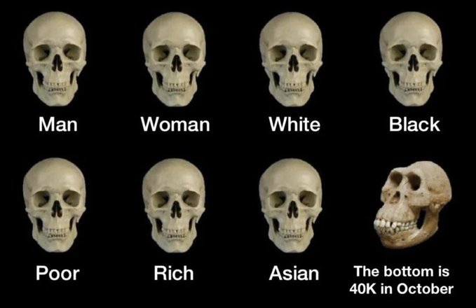 A meme showing seven identical skulls labeled 'Man', 'Woman', 'White', 'Black', 'Poor', 'Rich', and 'Asian', with an eighth skull shown from the side labeled 'The bottom is 40K in October'.