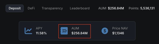The image displays a dashboard showing Onre Finance's key metrics, including an APY of 11.58%, AUM of $256.84M, and Price NAV of $1,1346, with the AUM figure highlighted to emphasize the platform's milestone of surpassing $250M in assets under management.