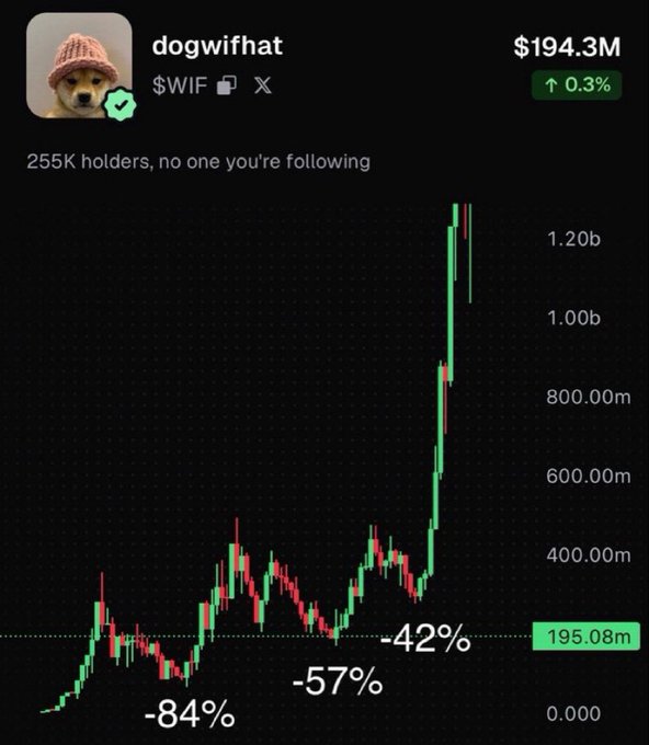 A cryptocurrency price chart for 'dogwifhat' ($WIF) showing a market cap of $194.3M with a current price of 195.08m and significant past drawdowns of -84%, -57%, and -42%.