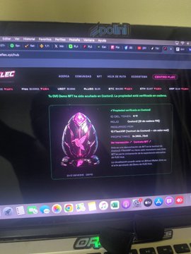 A slightly blurry photo of a MacBook screen displaying the 'apollon' NFT marketplace, showing a 3D animated egg artwork with the title 'Apollon #1855'.