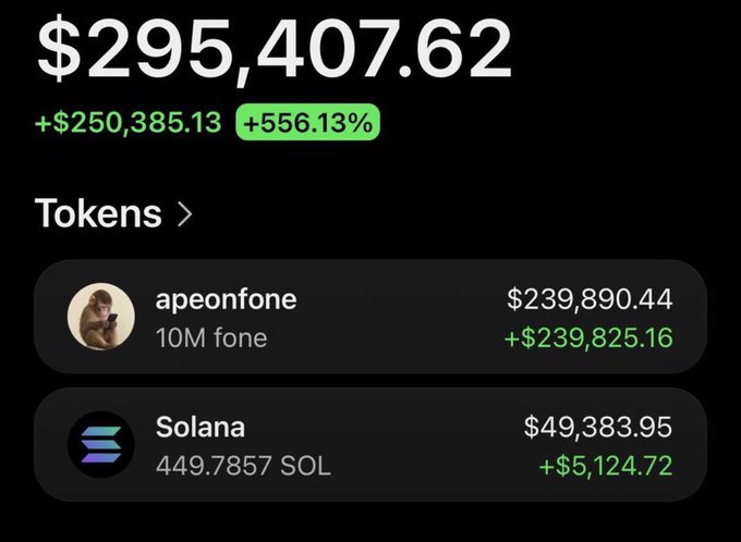 Crypto portfolio screenshot showing a total value of $295,407.62 (+556.13%), with top holdings being 'apeonfone' (10M fone) worth $239,890.44 and 'Solana' (449.7857 SOL) worth $49,383.95.