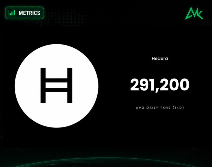 A dark-themed metrics graphic displays Hedera's logo alongside the figure "291,200" labeled as "AVG DAILY TXNS (14D)," visually reinforcing the post's announcement that Hedera transactions have reached an all-time high, averaging over 291,200 daily transactions over the past two weeks.