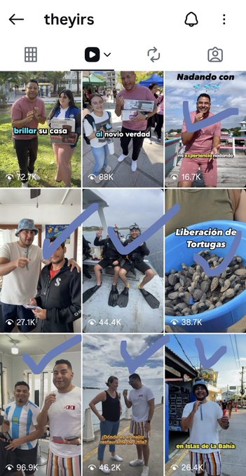 A screenshot of an Instagram profile named 'theyirs' displaying a 3x3 grid of video thumbnails with checkmarks drawn over several of them, including scenes labeled 'brillar su casa' (32.7K views), 'al novio verdad' (88K), 'Liberación de Tortugas' (38.7K), and a video with 96.9K views.