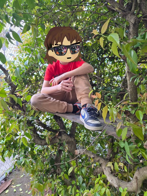 A person sits on a wooden plank among tree branches, wearing a red shirt, tan pants, and sneakers, with a cartoon-style emoji face and sunglasses edited over their head.