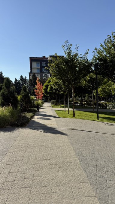 A paved walkway leads through a manicured park toward a modern apartment building under a clear blue sky, with a small red-leaved tree providing a pop of autumn color. The scene reflects a peaceful morning ("GM") routine, showcasing quiet, well-kept urban green space.