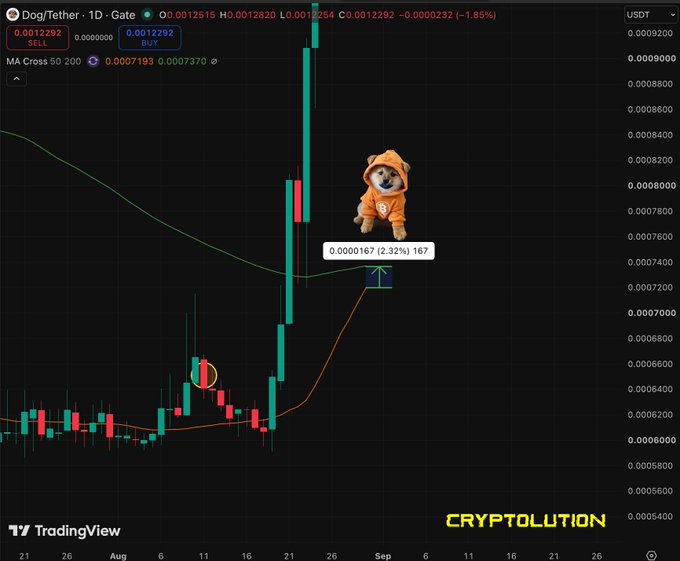 A TradingView chart of DOG/USDT showing a significant price spike, annotated with a Shiba Inu dog in an orange hoodie and the text 'CRYPTOLUTION'.