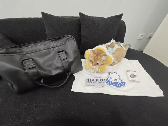 A cute cat wearing a yellow flower-shaped collar rests on a black couch next to a large travel bag and a white t-shirt labeled "HTX 13TH ANNIVERSARY" featuring the Huobi mascot, representing the promotional gifts received for Huobi's 13th anniversary celebration.