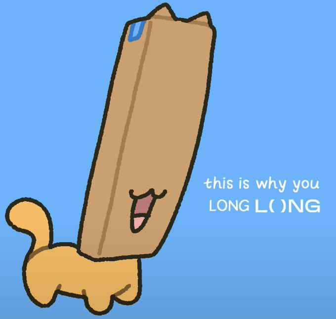 A cartoon cat with an elongated cardboard box body smiles next to the text "this is why you LONG L()NG," playing on the absurd "long box" meme to humorously encourage holding onto the $BOXY token despite the post's conspiracy-style jokes questioning what the project is really about.