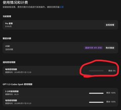 A screenshot of an OpenAI API billing dashboard showing usage quotas and limits in Chinese, with a red circle highlighting the "Advanced quota" section, illustrating the Codex quota glitch where usage drops to zero mid-task.