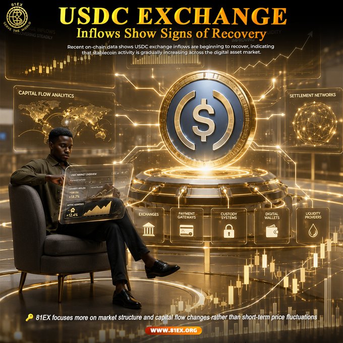 The image is a promotional graphic for "81EX" featuring the headline "USDC EXCHANGE — Inflows Show Signs of Recovery," depicting a man seated with a holographic tablet alongside a glowing USDC coin and data panels labeled "CAPITAL FLOW ANALYTICS," "SETTLEMENT NETWORKS," "EXCHANGES," "PAYMENT GATEWAYS," "CUSTODY SYSTEMS," "DIGITAL WALLETS," and "LIQUIDITY POOLS." The accompanying post discusses the on-chain recovery of USDC exchange inflows, signaling renewed stablecoin activity and capital participation in the digital asset market, which aligns with the image's emphasis on capital flow analytics and market structure.