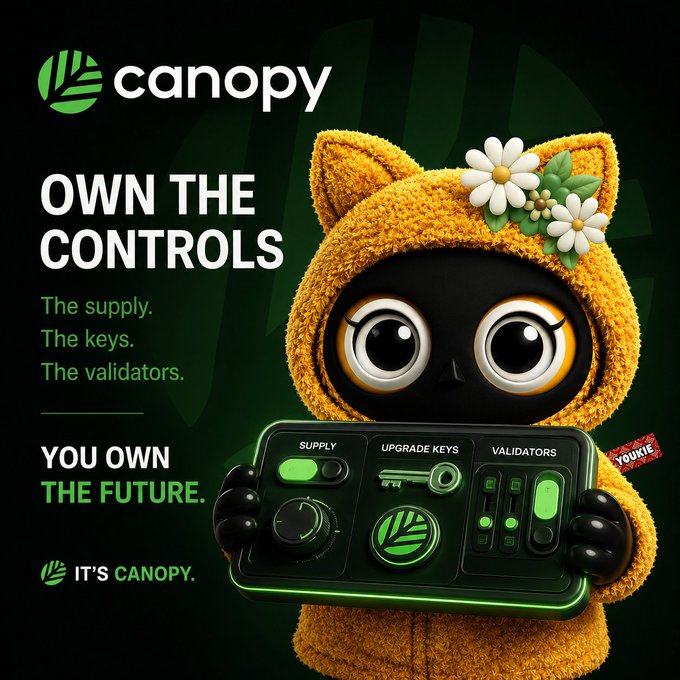 The image features a cartoon cat wearing a yellow hoodie, holding a green game controller with an "CNPY" logo at its side. The cat appears to be playing a video game or controlling some sort of device using the controller. The text in the image reads "Happy Sunday gCanopy grinders, GM I can hold every token a project ever issues and still have no control over where it goes. That'S why @CNPYNetwork stands out to me. I don't just want". This message seems to be related to the concept of owning and controlling game controllers or other devices using the CNPY network, as indicated by the cartoon cat holding a controller in its paws.