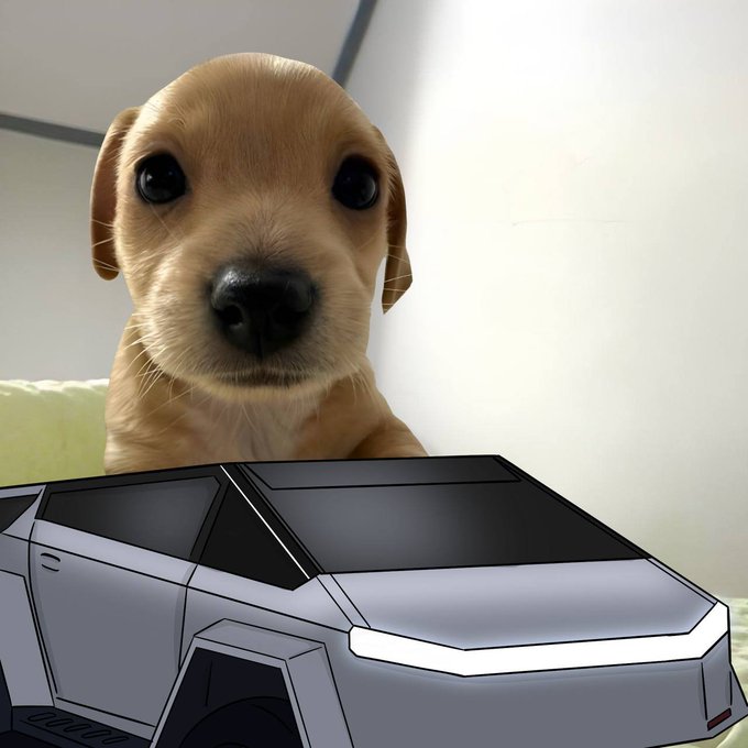 A close-up photograph of a tan puppy looking at the camera is positioned above an illustration of a silver, angular, futuristic vehicle resembling a Tesla Cybertruck.