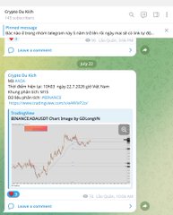 A Facebook comment thread shows a user posting "Cruises for ADA" and "ADA done" at 6:42 PM on May 19, 2024, followed by an attached analysis screenshot titled "BINANCE:ADADUSD Chart Image by Griznog81" displaying a candlestick price chart with what appears to be trade level annotations. The post celebrates reaching the first target for the #ADA cryptocurrency token with positive, aspirational messaging about peace, joy, happiness, and abundance, while explicitly noting the content is personal opinion rather than financial advice.