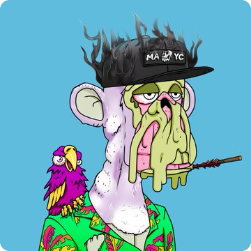 Digital artwork of a cartoon monkey wearing a black 'MAYC' cap with flame details, accompanied by a colorful parrot, set against a blue background.
