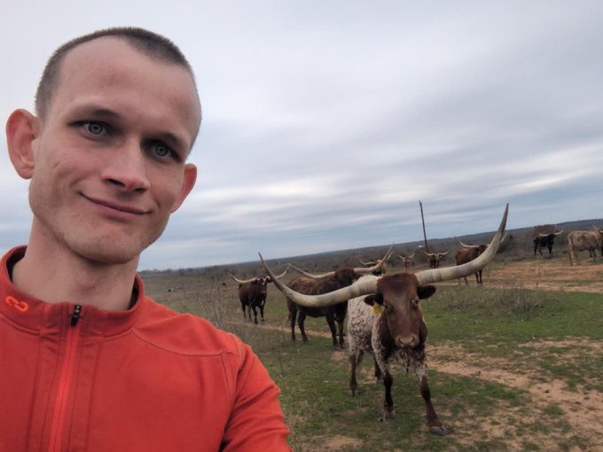 A selfie of a smiling man in an orange jacket standing in a field with several longhorn cattle, one prominently staring at the camera.