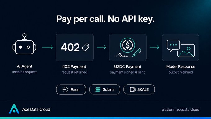 A promotional graphic for Ace Data Cloud titled 'Pay per call. No API key.' showing a 4-step process flow (AI Agent → 402 Payment → USDC Payment → Model Response) with supported networks Base, Solana, and SKALE.