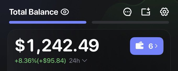 A digital wallet dashboard displays a Total Balance of $1,242.49, showing a 24-hour gain of +8.36% (+$95.84) across 6 connected accounts.