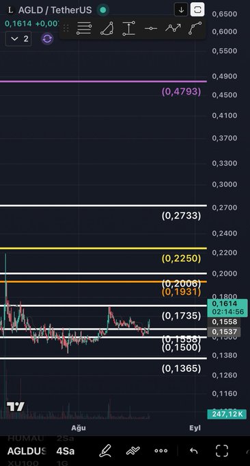 A TradingView candlestick chart for AGLD/USDT displays a horizontal resistance zone around 0.1735 (marked with a white line) along with additional resistance levels at 0.1931, 0.2000, 0.2250, 0.2733, and 0.4793, and support levels at 0.1500, 0.1558, and 0.1365. The chart visually reinforces the post's call that a sustained break above the 0.1735 resistance is needed for the rise to continue.