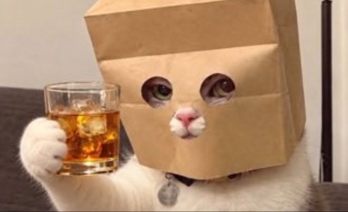 A cat wearing a brown paper bag over its head with cut-out eye holes, holding up a glass of iced brown liquid in its paw.