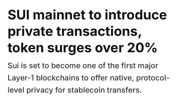 The image features a screenshot of a text-based advertisement or article titled "SUI mainnet to introduce private transactions, token surges over 20%" on the left side. It talks about the recent rise in cryptocurrency value using SUI as an example. The content also explains that the majority of layers one should know before investing is layer 1 blockchains and their native protocols, suggesting it's crucial for any serious investor to have a basic understanding of this topic. The image itself does not provide enough information on the actual context or background to draw further conclusions from what follows.