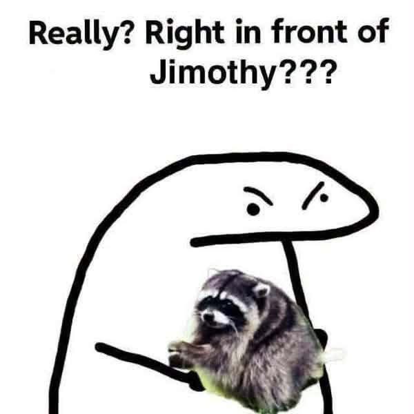 A meme featuring a crudely drawn angry stick figure pointing at a raccoon with the text 'Really? Right in front of Jimothy???'