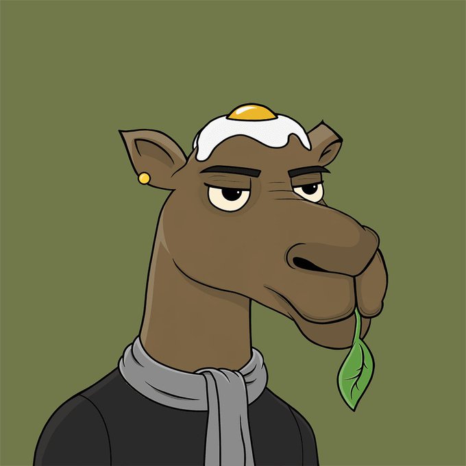 A cartoon illustration of a brown camel-like character with a fried egg on its head, wearing a black shirt and gray scarf, chewing on a green leaf against a solid olive green background.