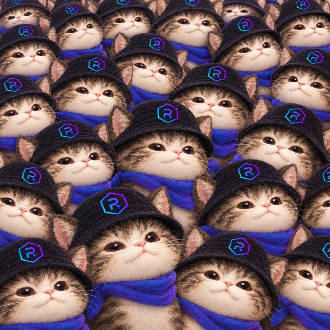 A repeating pattern of cute kittens wearing black baseball caps with a hexagonal 'R' logo and blue scarves, likely referencing the Ronin (RON) crypto project.