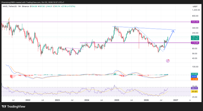 A TradingView candlestick chart of AAVE/USDT on Binance (1W timeframe) showing price action around $164.01 with technical indicators including MACD and RSI, displaying annotations drawn over the chart.