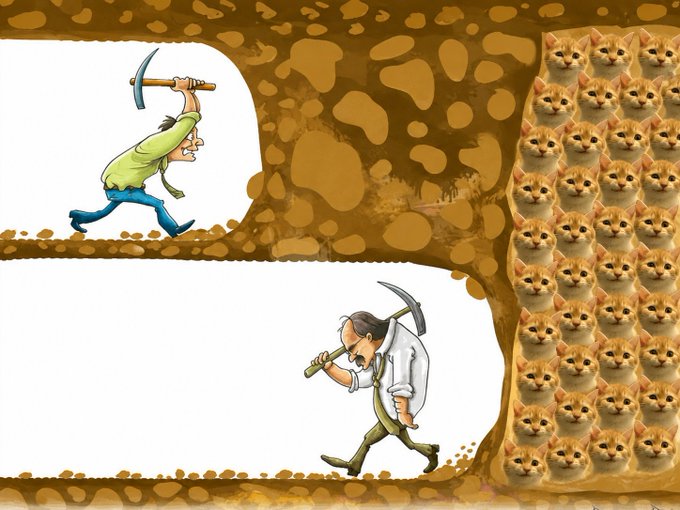 A cartoon illustration depicting two miners swinging pickaxes while a wall of identical orange cat faces blocks their path in a cave.