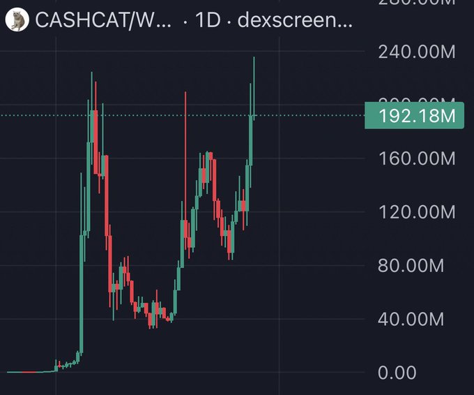 A daily candlestick chart from dexscreener showing CASHCAT/WBNB reaching a market cap of 192.18M after a sudden surge, with recent price action pushing back toward the 200M level mentioned in the post.
