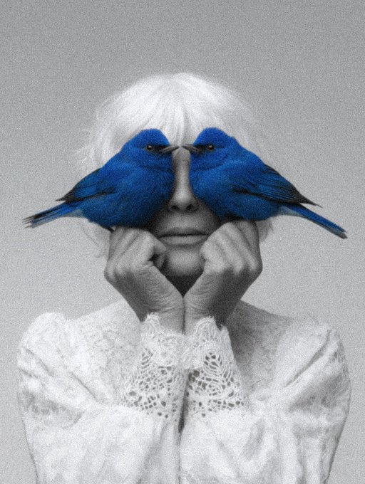 An artistic black-and-white portrait of a person with white hair and a lace blouse resting their chin on their hands, with two vibrantly blue birds perched on their cheeks near their eyes.