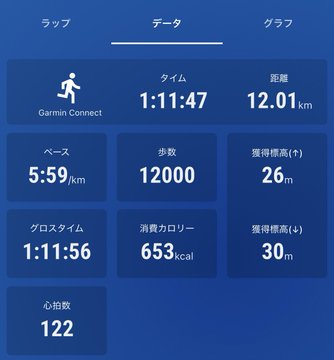 Running data summary in Japanese showing distance 12.01km, time 1:11:47, pace 5:59/km, 12,000 steps, 653kcal burned, and 122 average heart rate from Garmin Connect.