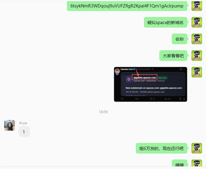 A screenshot of a chat conversation in Chinese discussing a gigablox.spaces.com subdomain, with the username 'Arya' visible.