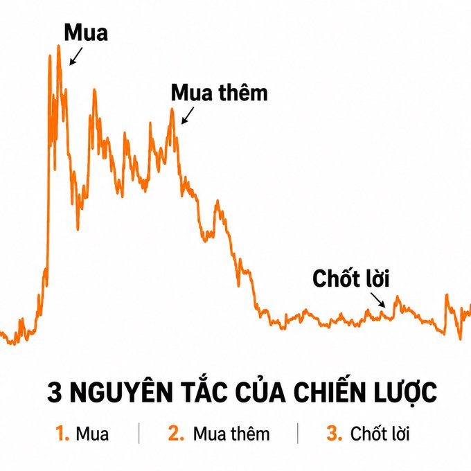 A line chart in Vietnamese illustrating '3 NGUYÊN TẮC CỦA CHIẾN LƯỢC' (3 Principles of Strategy): 1. Mua (Buy), 2. Mua thêm (Buy more), 3. Chốt lời (Take profit), with annotations on a downward-trending orange price line.