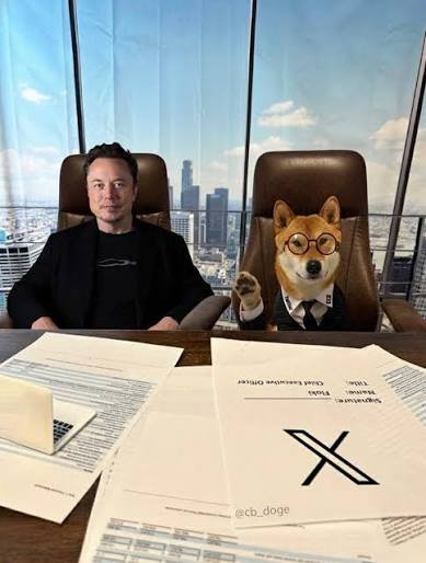 A satirical image showing Elon Musk seated next to a Doge/Shiba Inu character in a business suit, with X (Twitter) documents on the desk, tagged @cb_doge.