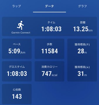A blue fitness app data screen in Japanese showing a Garmin Connect run with a time of 1:08:03 over 13.25 km, a pace of 5:09/km, and 11,584 steps.