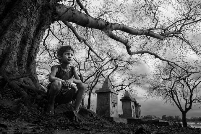 A black-and-white photograph of a young boy crouching on a tree root, looking into the distance, with bare, gnarled tree branches and stone monuments in the background.