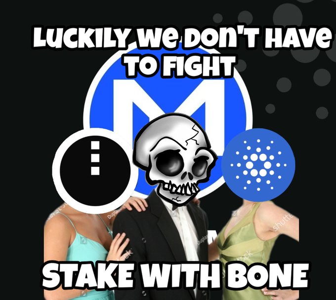 The image features a poster with a cartoon skull wearing a suit, standing next to two people posing for a picture. The text "LUCKILY WE DON'T HAVE TO FIGHT M" is written above the skull, and the phrase "STAKE WITH BONE" is below it. The background of the poster is black, making the white text stand out. The image also includes a link to the post on "discord.gg/hosky".